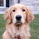 Inspiration fueled my training knowledge.