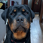 Inspiration fueled my training knowledge.