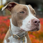 Inspiration fueled my training knowledge.